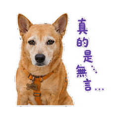 《Lucky小公主｜厭世版貼圖》