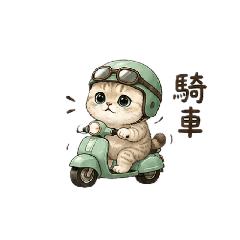 英短莉卡