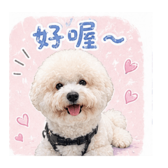 阿比寫實夠生