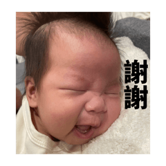 本Qiu 不同意
