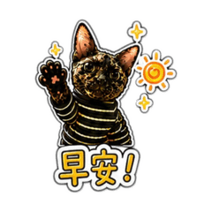 文Do的日常