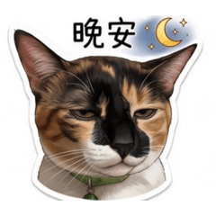 小不點三花