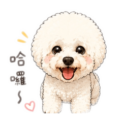 LuLuMi_20260531231513