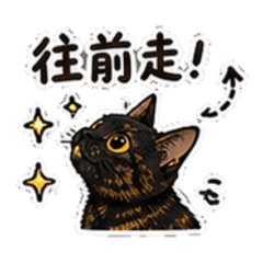 玳瑁貓安安你好-愛的鼓勵篇