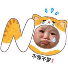 阿熊寶寶的日常生活