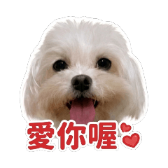 球球的貼圖