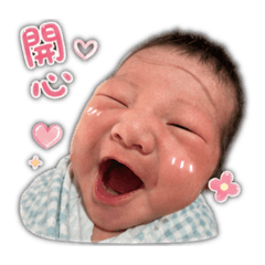 小蝌蚪成長記