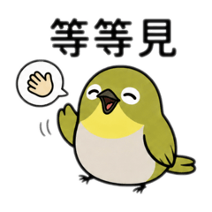 綠繡眼-萬用聊天生活