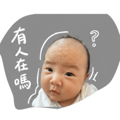 卡布奇納寶寶