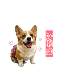 妞妞可愛日常2