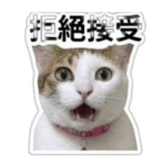 米豆本喵2