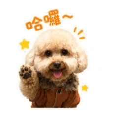 許小逼