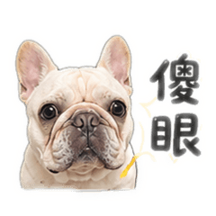 呂步步