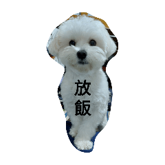 李果汁