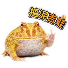 冬瓜檸檬的日常(*¯︶¯*)