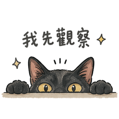 傲嬌三黑貓
