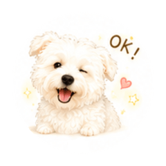 西高地Westie Maxi