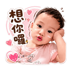 會動的小可愛