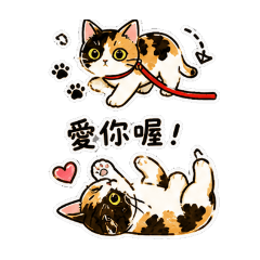 小橘的人生2