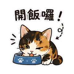 小橘的人生1