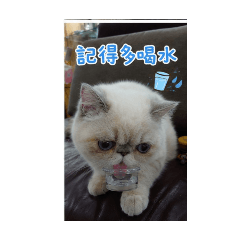 帥哥美女的寶貝