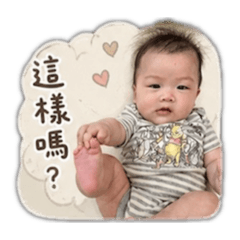 醇寶1號