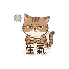 Por running cat