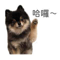 偶是妮妮><