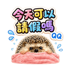 烏尼小刺蝟～日常生活版