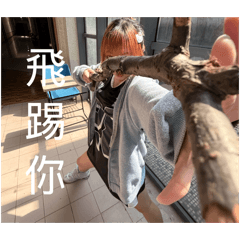 出動吧皮卡丘