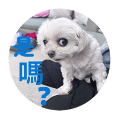 瑪爾濟斯話家常2