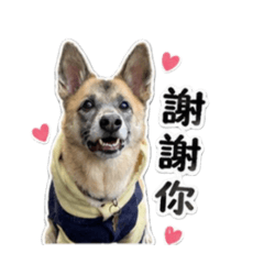 狼狼汪汪