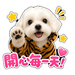 馬爾濟斯～嘟嘟1