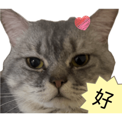珍妮的兒子們