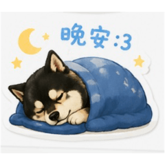 BB日常生活語