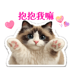 臭妮妮日常