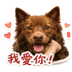 邱小熊首發