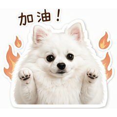 錢錢貢丸
