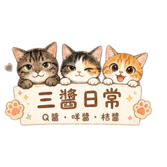 三醬日常