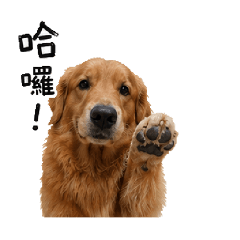 旺宅家every month三月