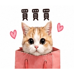 玥玥日常～