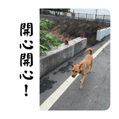 樂樂日常（3）