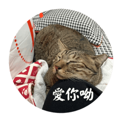 家有胖虎