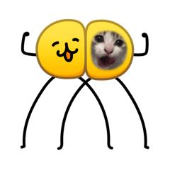 哈米米