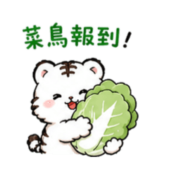 小乖虎-我就爛