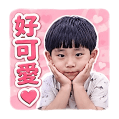 晨哲