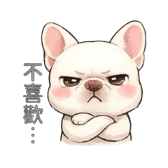 小白狗日常用語3