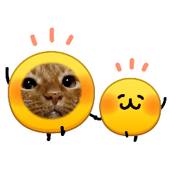 肉肉肉肉鬆