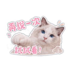Neptune小王子2