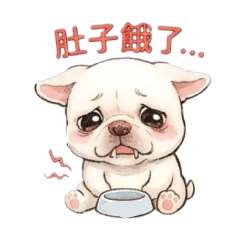 小白狗日常用語4